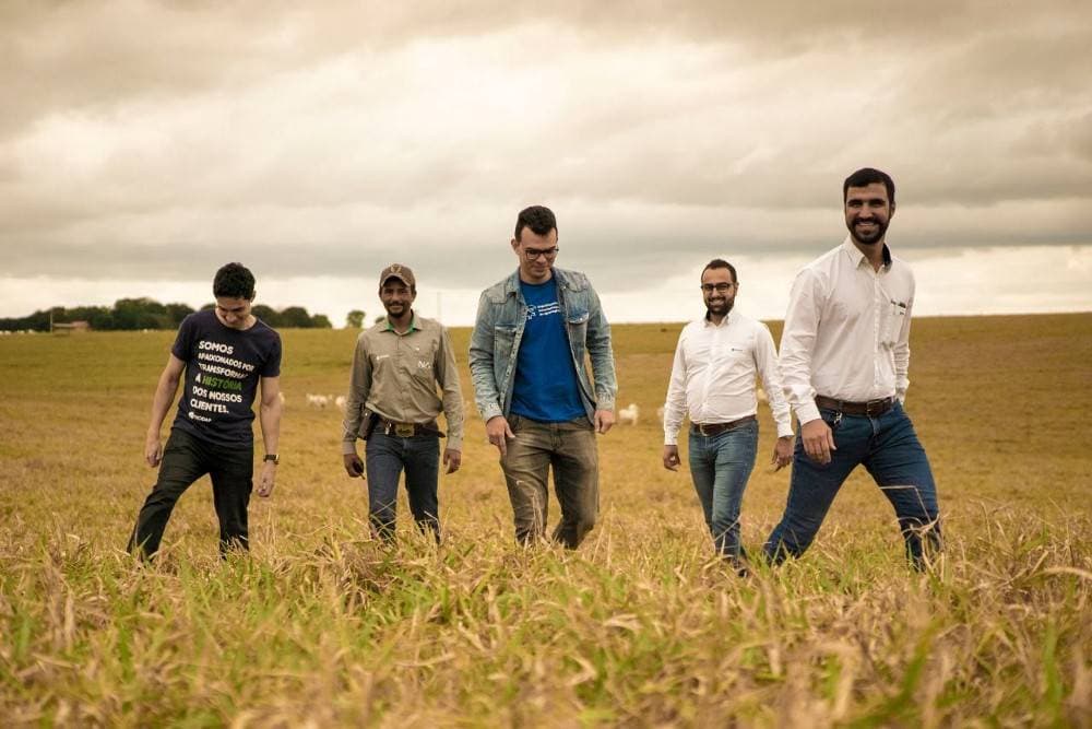Transformação digital na agropecuária: um case de sucesso